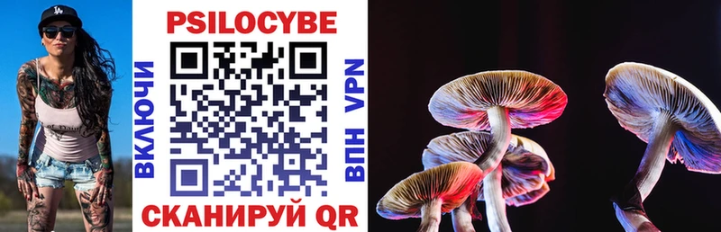 Купить  Лиски  Галлюциногенные грибы Psilocybine cubensis 